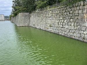 内堀水質対策前