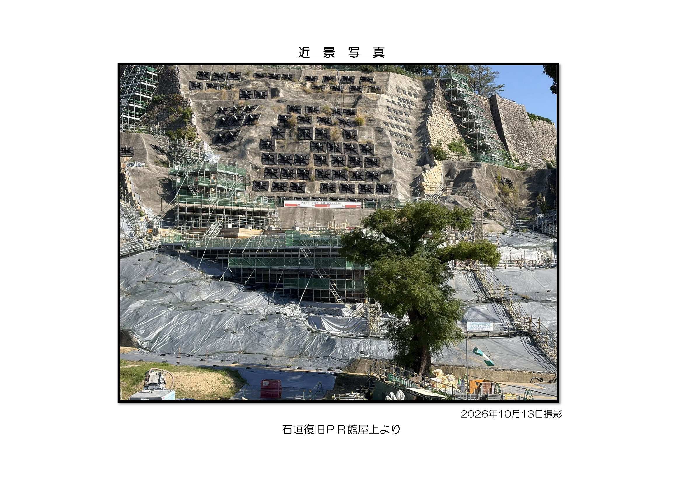 近景写真