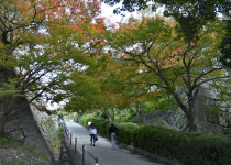 丸亀城の写真3
