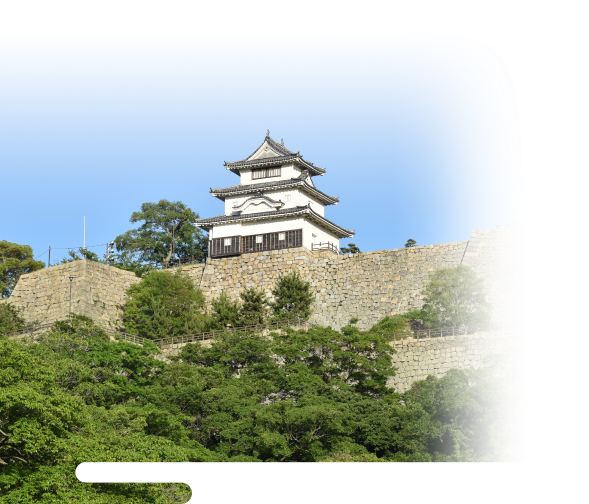 丸亀城の写真1