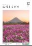 広報まるがめ2020年12月号