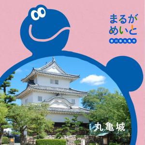 コミュニケーションフレームパターンピンク