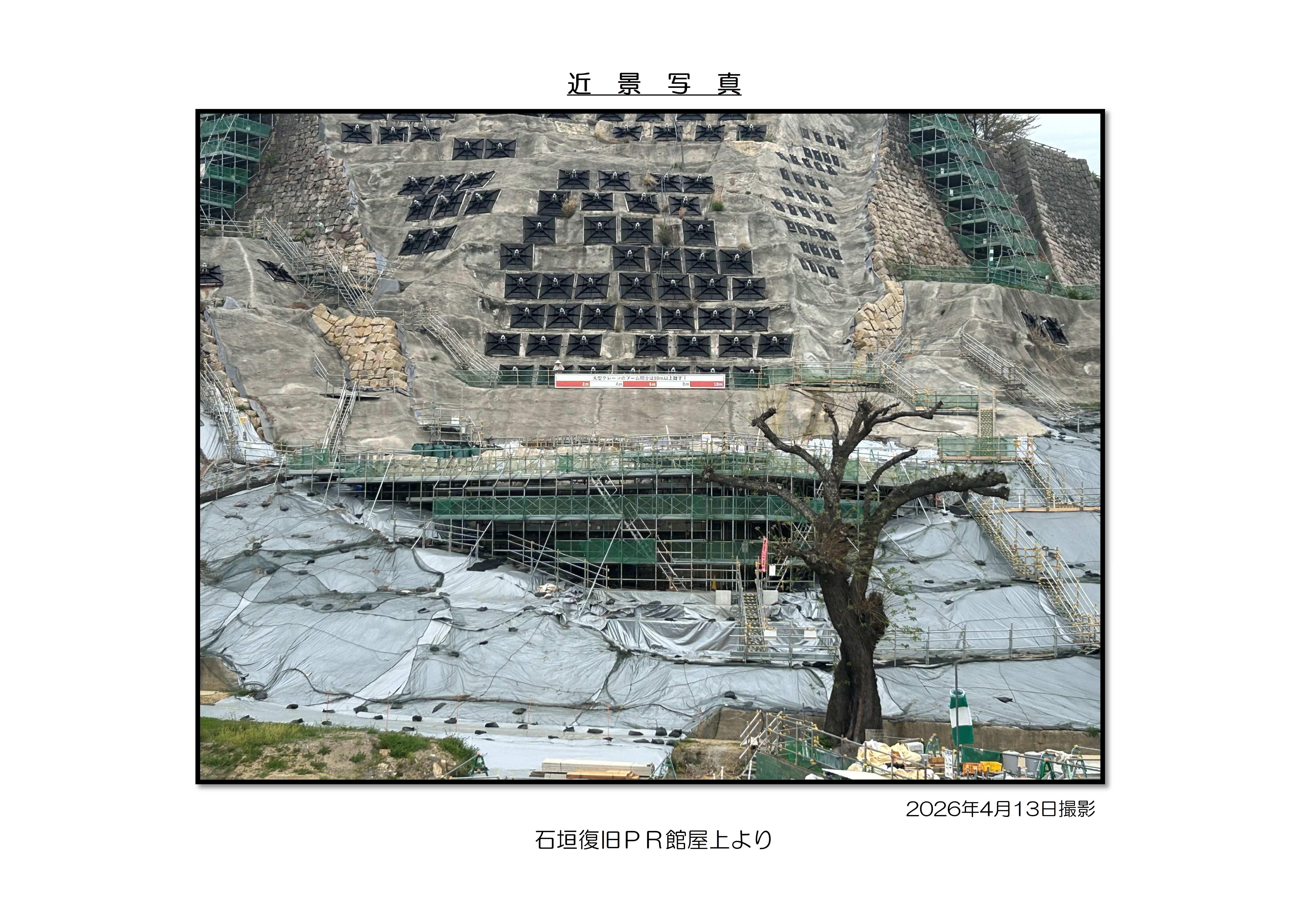 近景写真