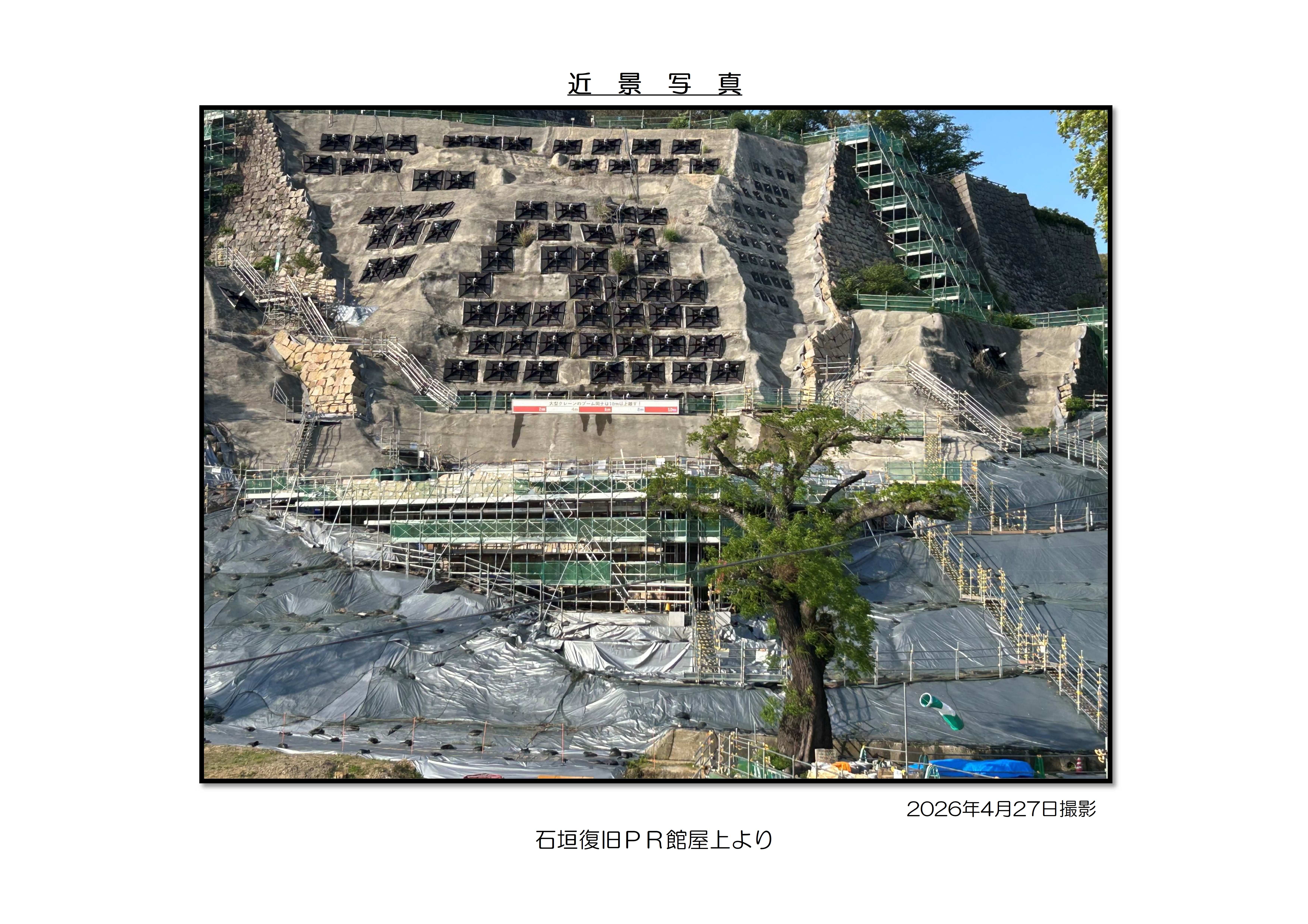 近景写真