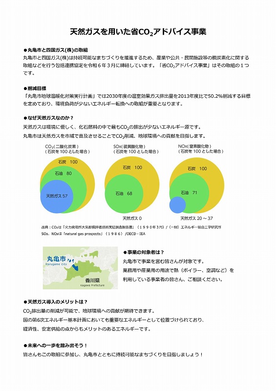 chirashi02