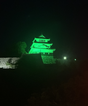 丸亀城グリーンライトアップ