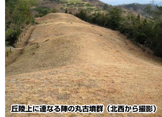画像：丘陵上に連なる陣の丸古墳群