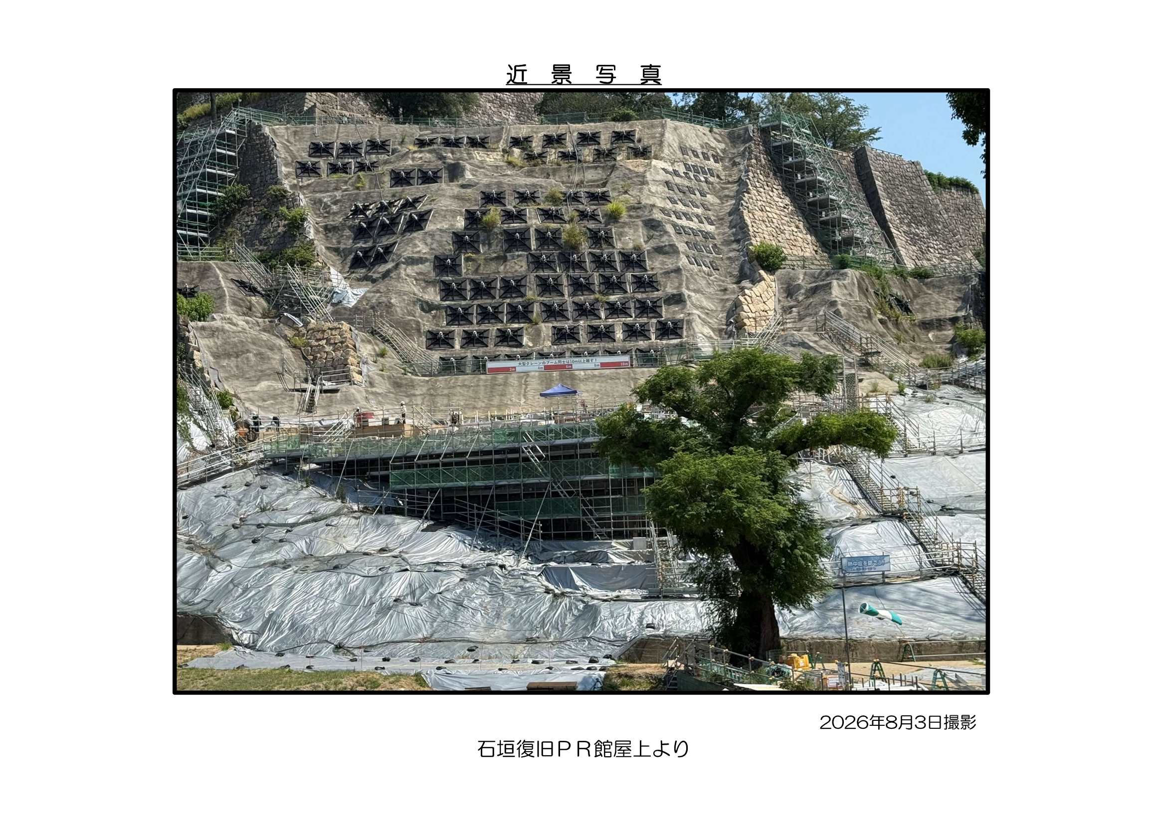 近影写真