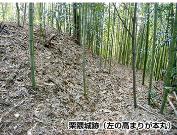 画像：栗隈城跡（左の高まりが本丸）