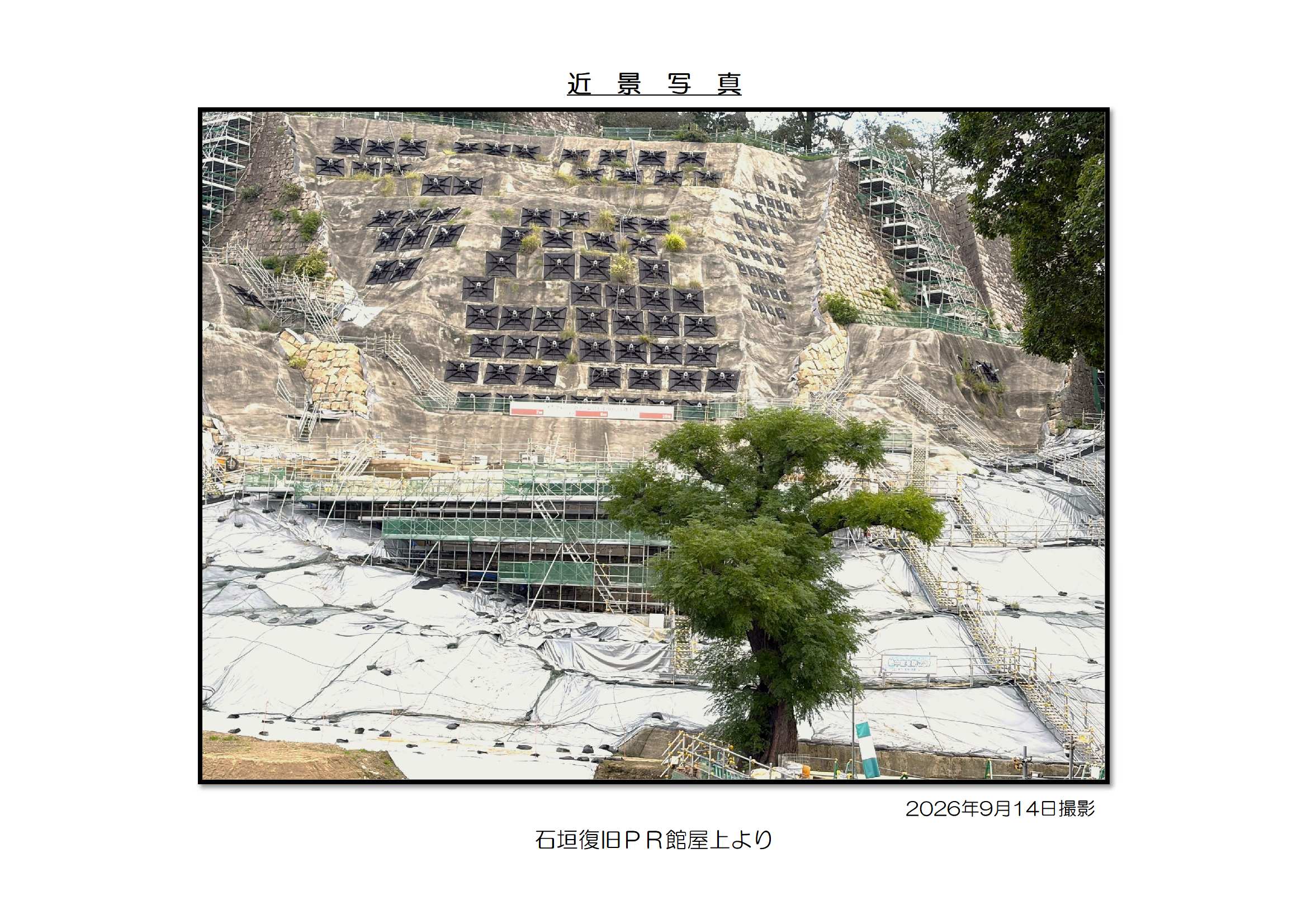近景写真