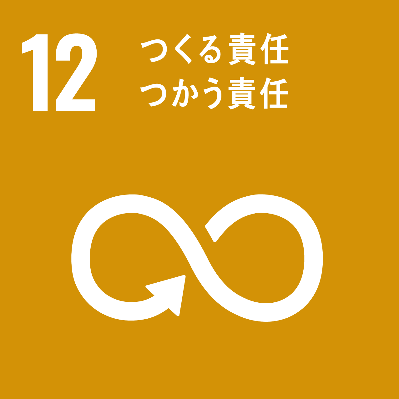 1.SDGsとは？の画像13