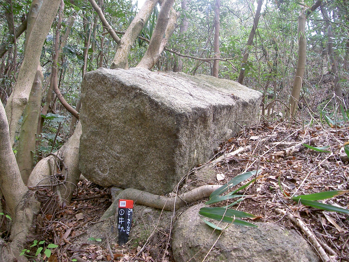 11　塩飽本島高無坊山石切丁場跡の画像