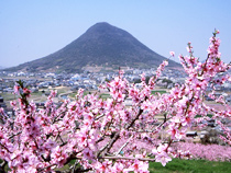 画像：飯野山