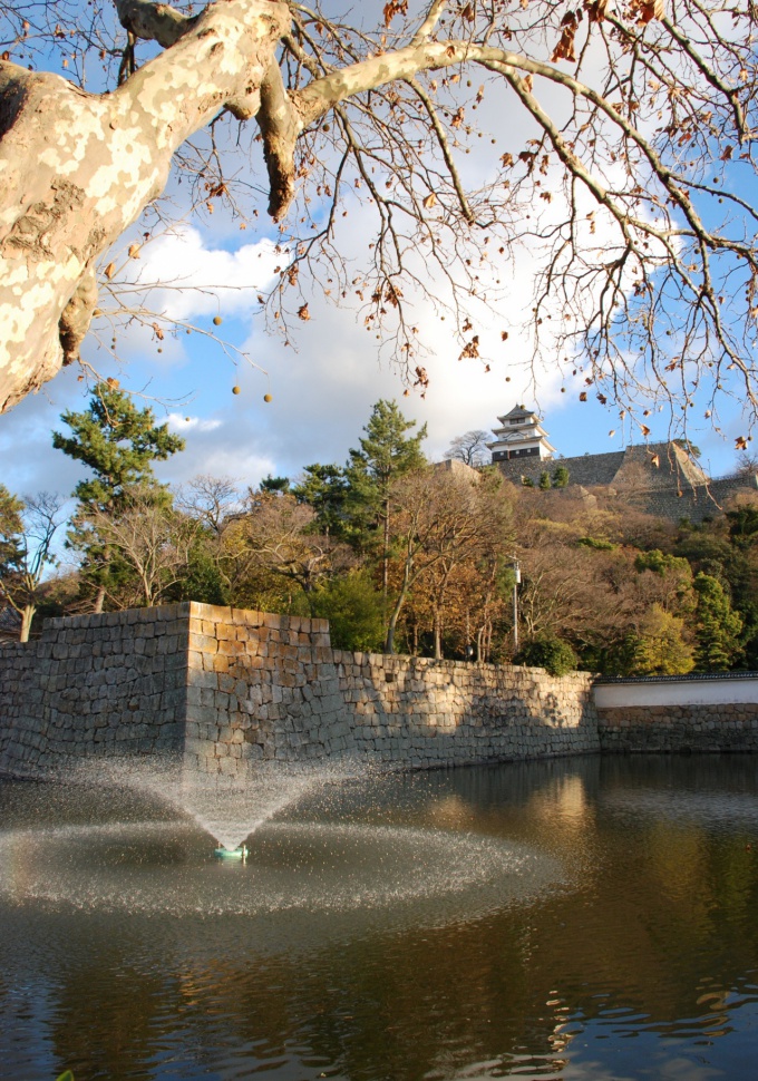 晩秋の風景