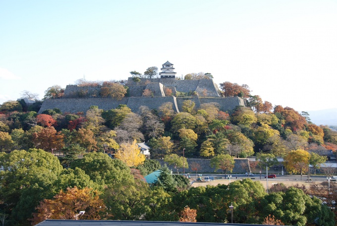 紅葉と丸亀城