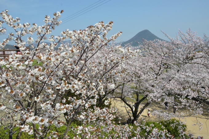 春の風景