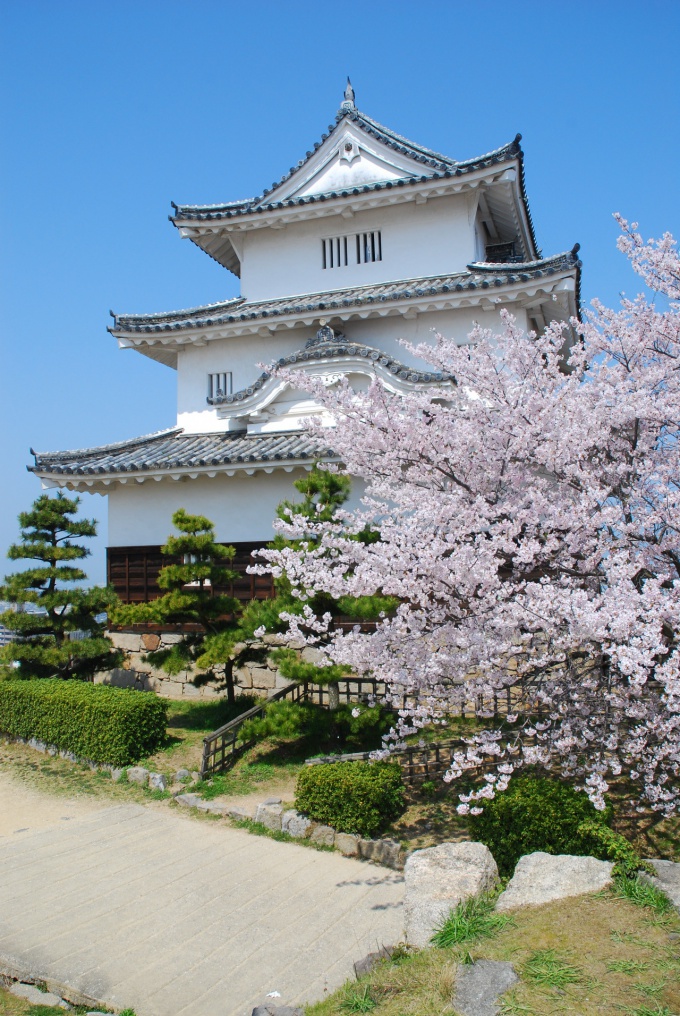 天守と桜