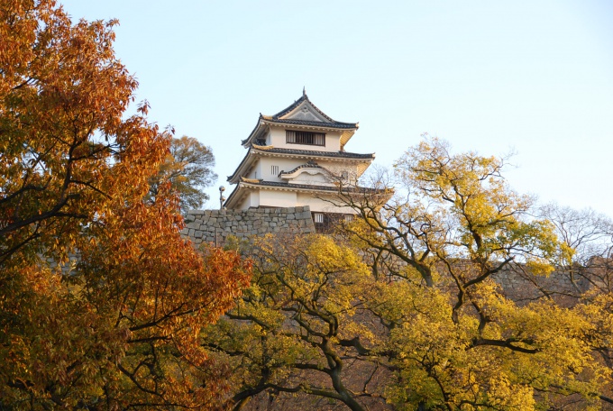 秋の丸亀城