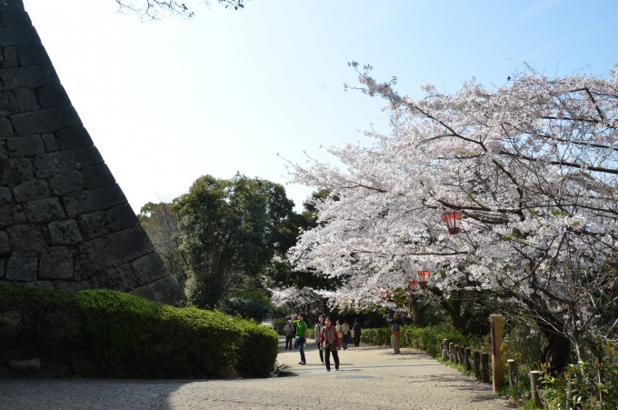 春の見返り坂