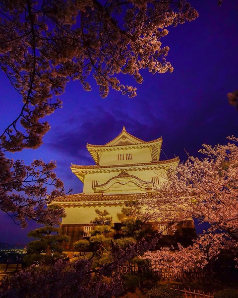 マルカメラに投稿された丸亀城の写真を公開！の画像2