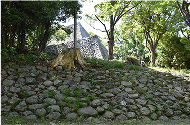 【3】野面積み（のづらづみ）の画像