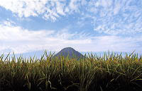 画像：美しい姿の飯ノ山は、富士山と同じ火山なの？