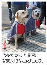 画像：代参犬に扮した見習い警察犬「きなこ」と「こむぎ」