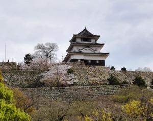 丸亀城と桜の写真