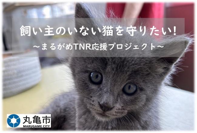 TNR