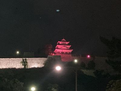 丸亀城ライトアップ