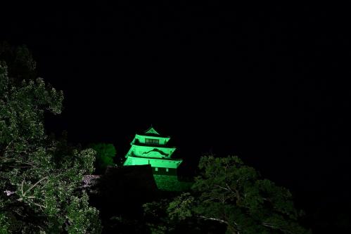 天守グリーンライトアップ画像