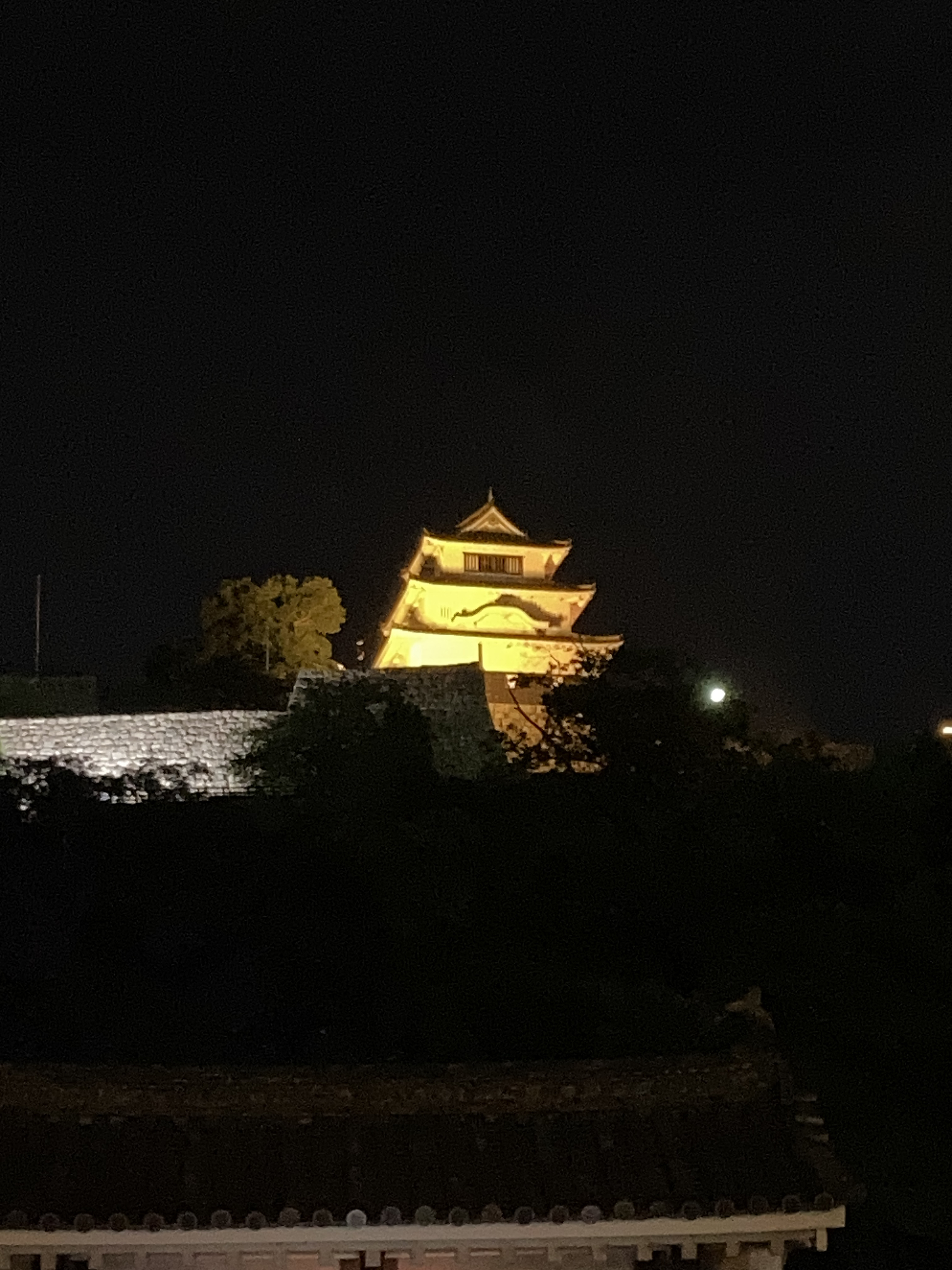 天守オレンジライトアップ画像