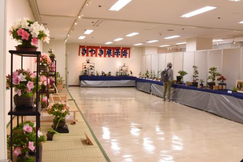 丸亀さつき展会場の写真２
