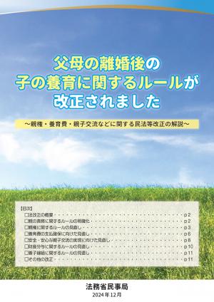 離婚後法改正画像