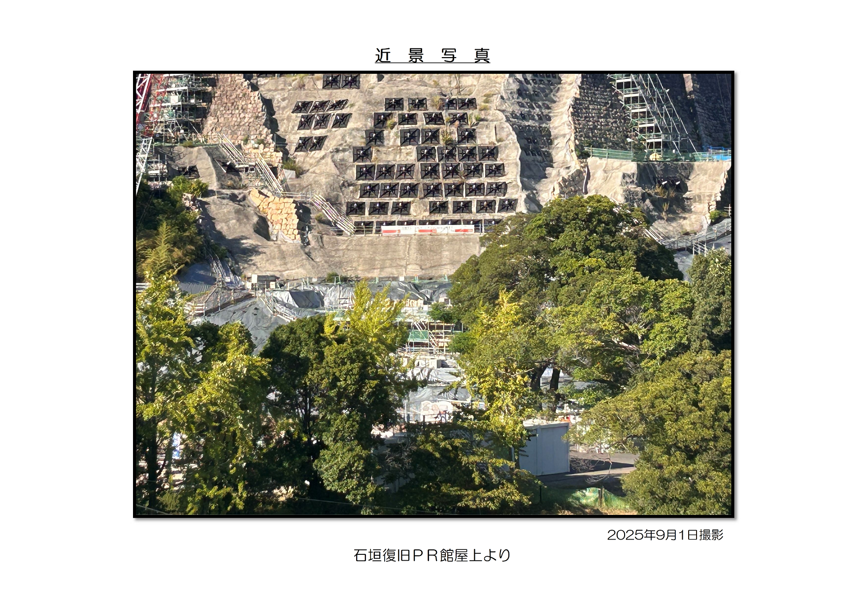 近景写真