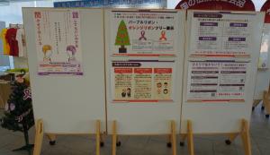 昨年のパネル展の様子