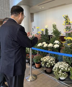 あやうたふるさとまつり